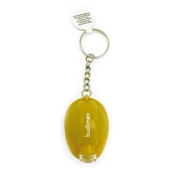 Keyring with LED torch